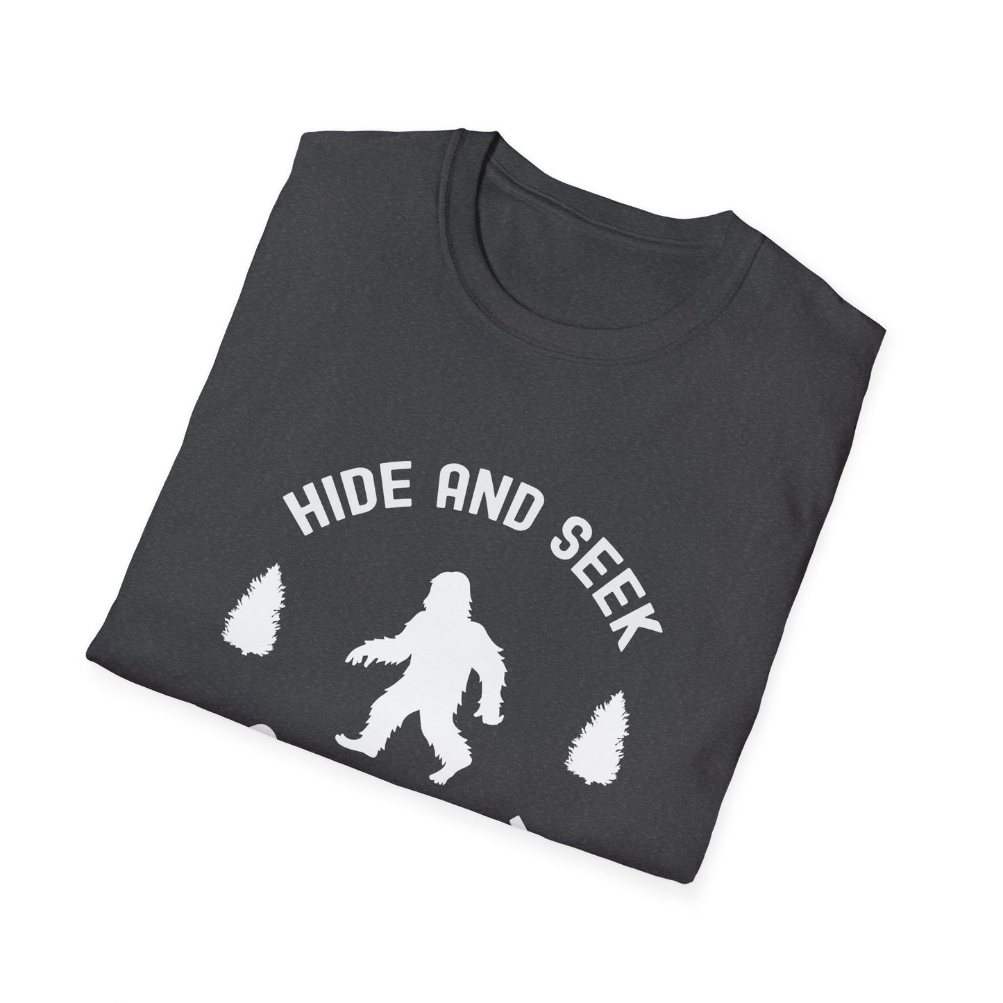 Hide and Seek Champion
