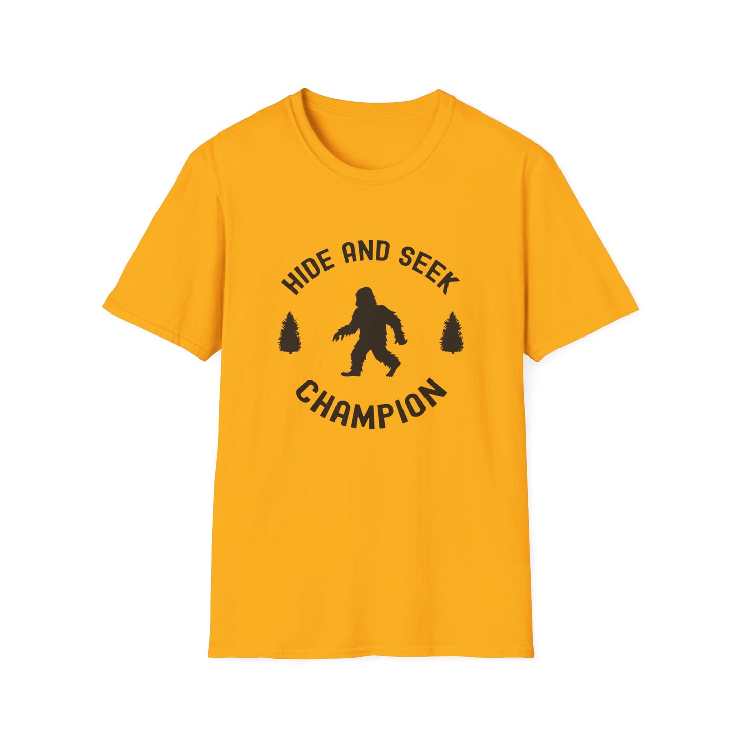 Hide and Seek Champion
