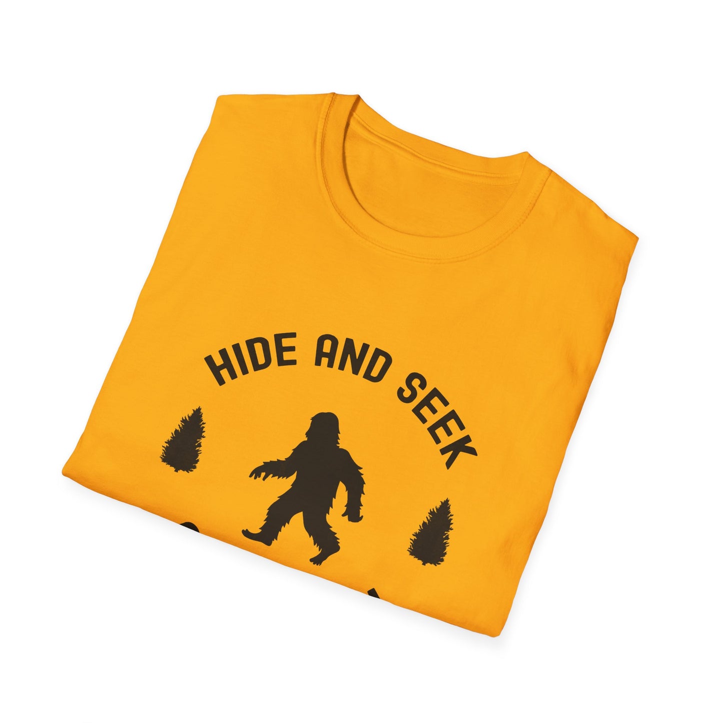 Hide and Seek Champion