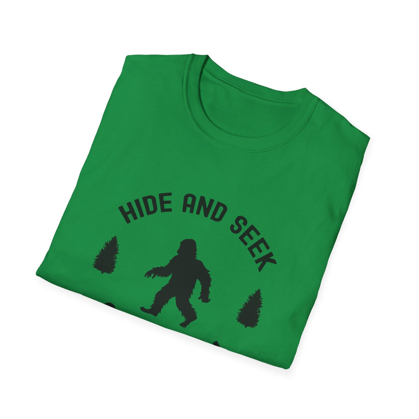 Hide and Seek Champion