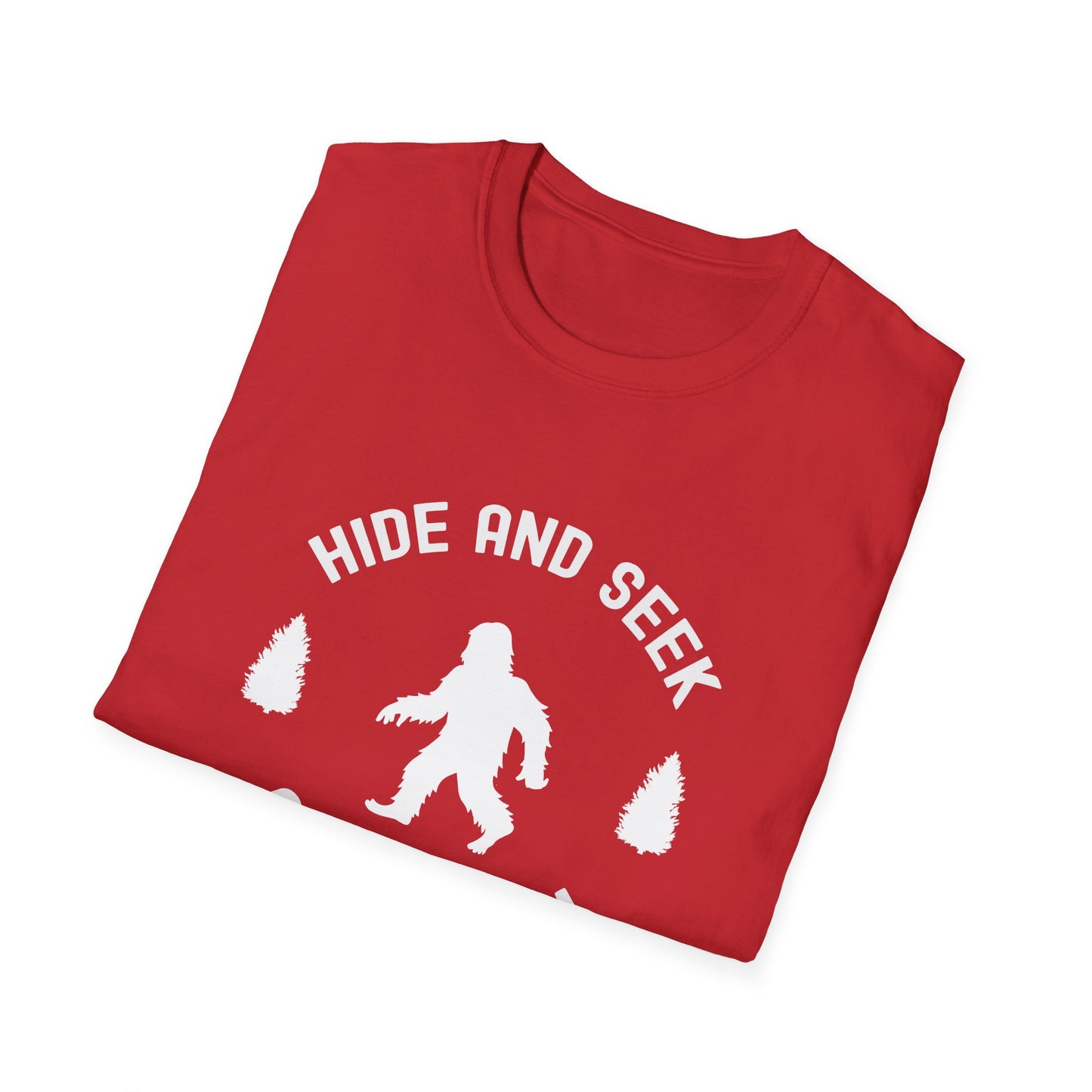 Hide and Seek Champion