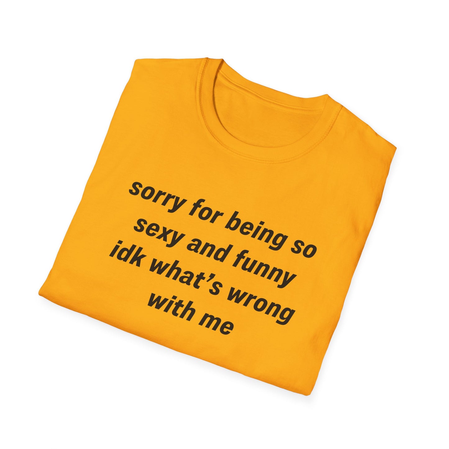Sorry for Being So Sexy and Funny, Idk What’s Wrong With Me