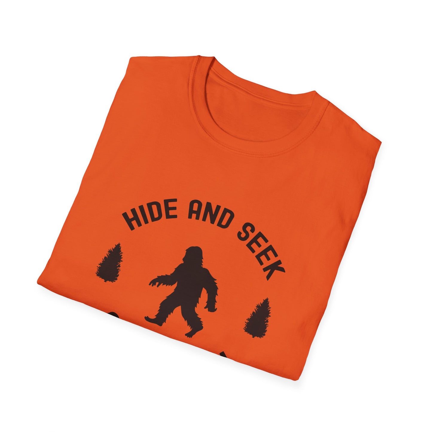 Hide and Seek Champion