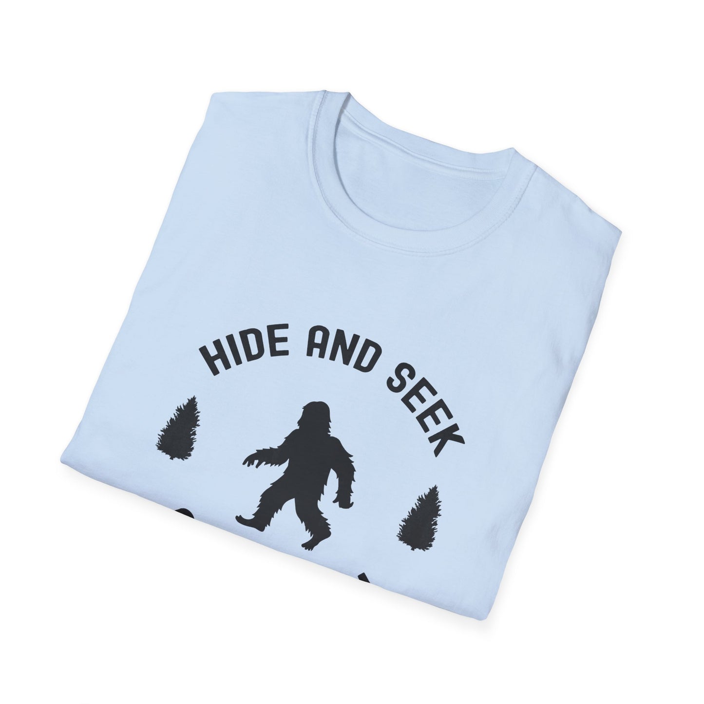 Hide and Seek Champion