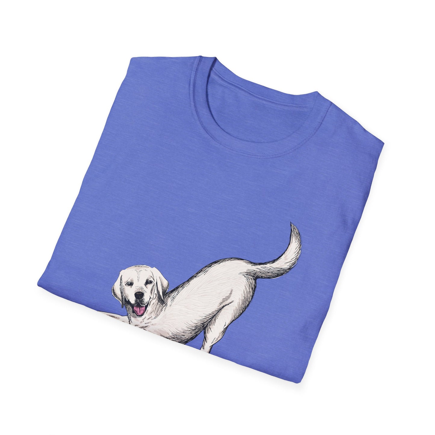 Downward Dog Yoga