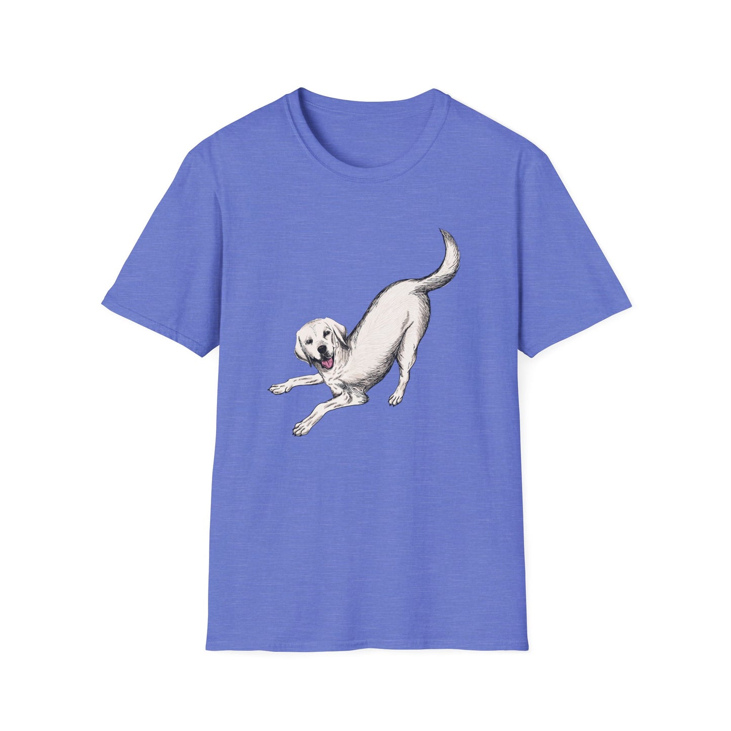 Downward Dog Yoga