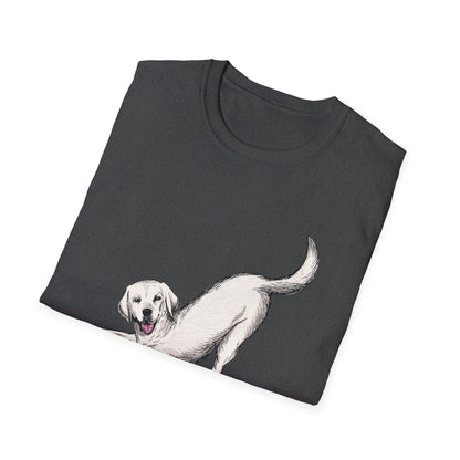 Downward Dog Yoga