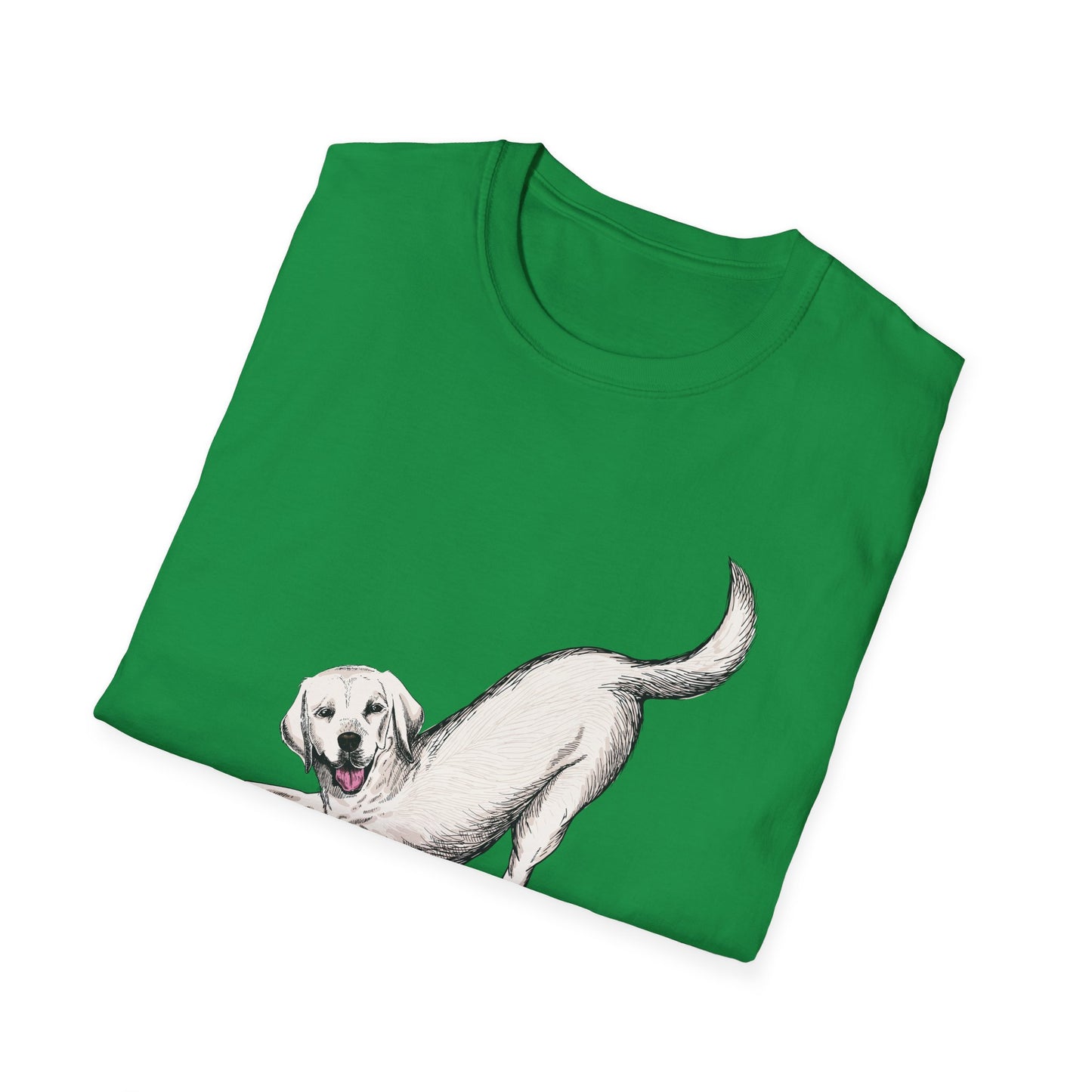 Downward Dog Yoga