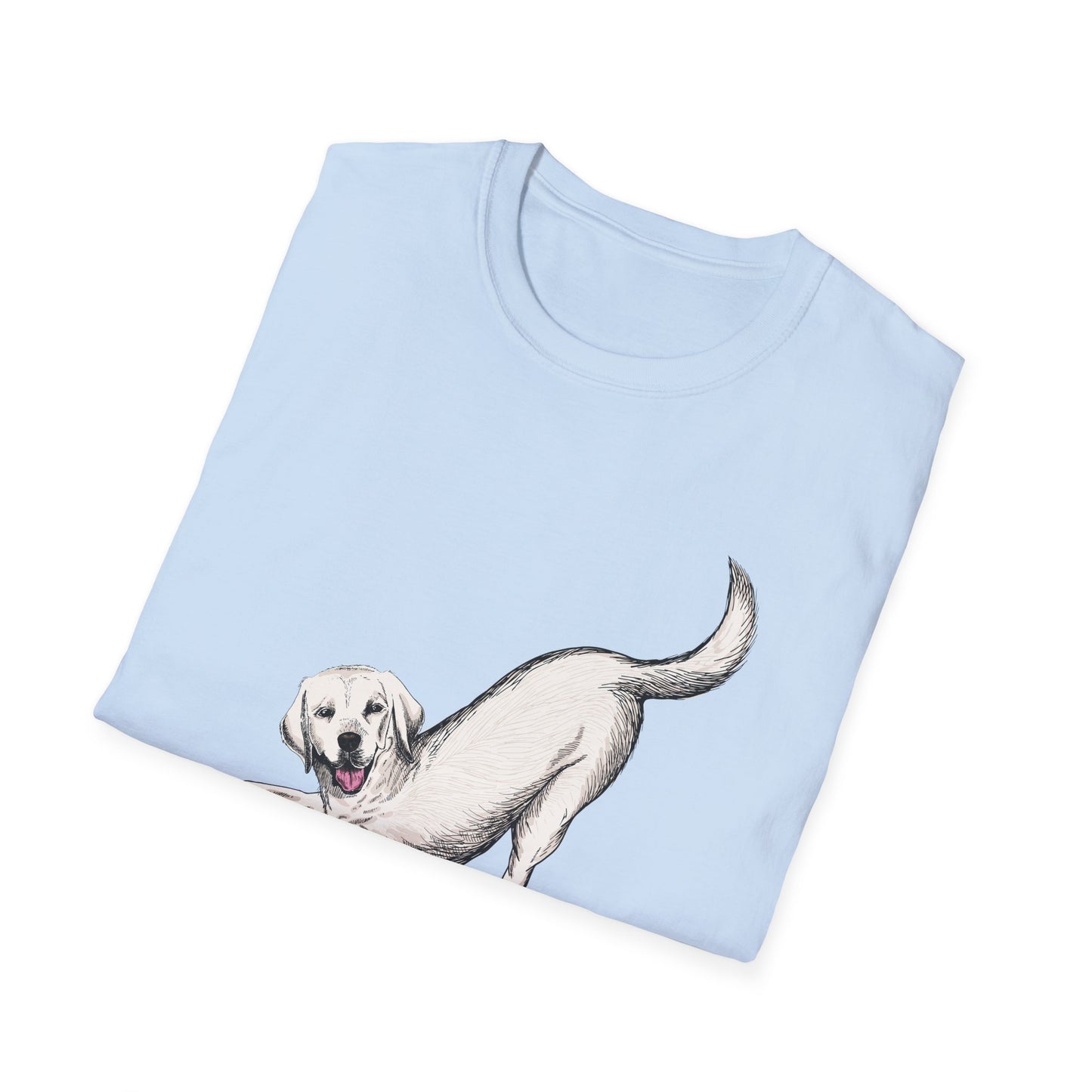 Downward Dog Yoga