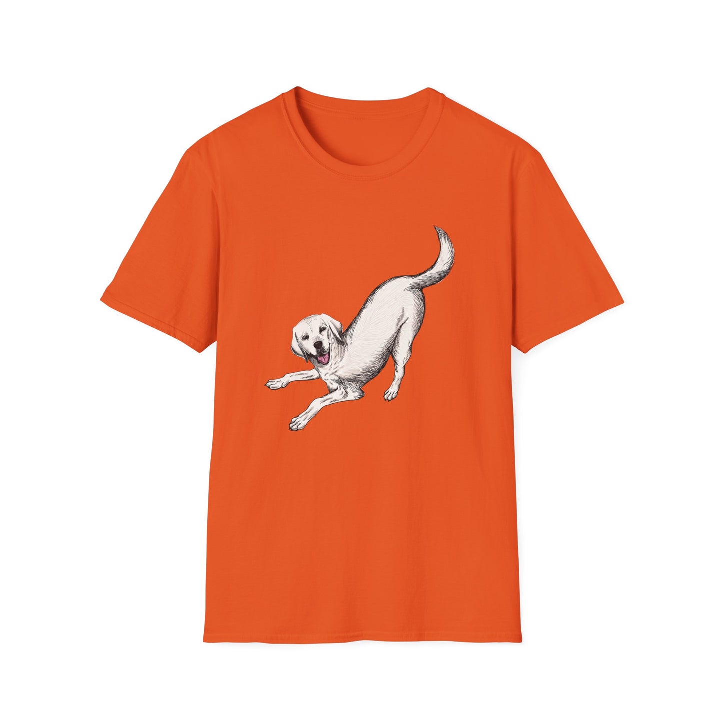 Downward Dog Yoga